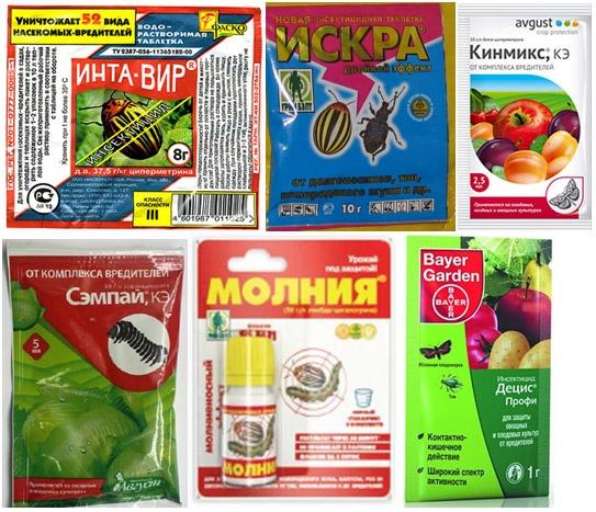 Средства для борьбы с насекомыми в саду и дома