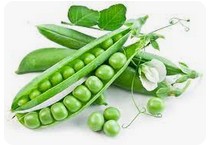 Горох, фасоль, бобы семена