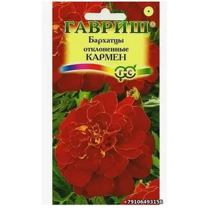 Бархатцы Тагетес (бархатцы отклонённые) КАРМЕН Гавриш