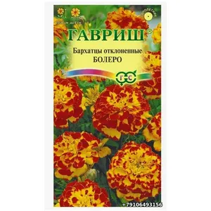 Бархатцы Тагетес (бархатцы отклонённые) БОЛЕРО Гавриш