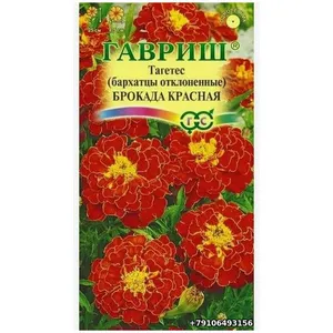Бархатцы Тагетес (бархатцы отклонённые) Брокада красная Гавриш