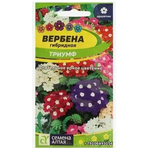 Вербена гибридная Триумф Семена Алтая