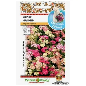 Флокс Бьюти Северное сияние
