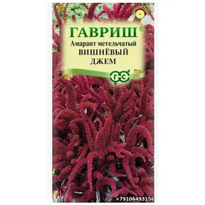 Амарант метельчатый ВИШНЁВЫЙ ДЖЕМ Гавриш