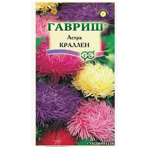 Астра КРАЛЕН Гавриш