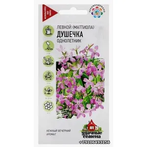 Левкой (маттиола) ДУШЕЧКА