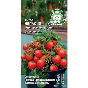 Томат НЕПАС 15 (балконный)