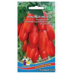 Томат КРАСНЫЙ МЕТЕОР