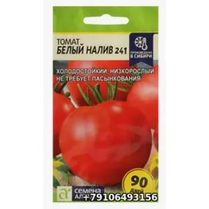 Томат БЕЛЫЙ НАЛИВ 241
