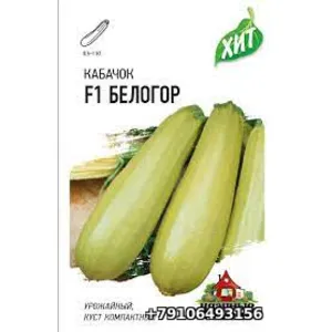 Кабачок БЕЛОГОР F1