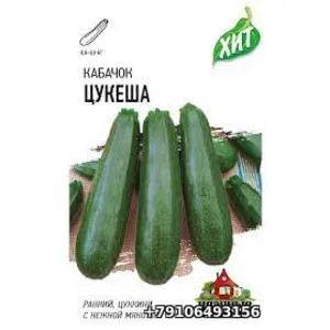 Кабачок ЦУКЕША