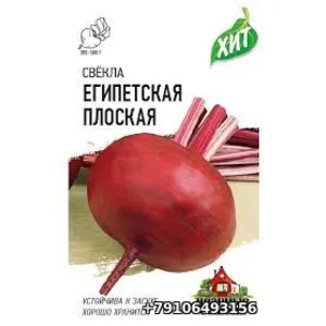 Свекла ЕГИПЕТСКАЯ ПЛОСКАЯ