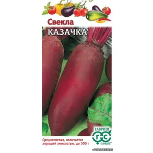 Свекла КАЗАЧКА