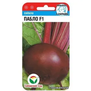 Свекла ПАБЛО F1