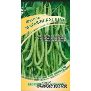 Фасоль МАРЬЯ ИСКУСНИЦА спаржевая