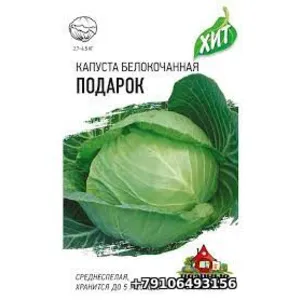 Капуста белокачанная ПОДАРОК