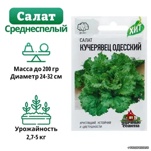Салат КУЧЕРЯВЕЦ ОДЕССКИЙ