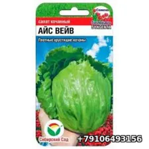 Салат кочанный АЙС ВЕЙВ