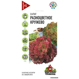 Салат РАЗНОЦВЕТНОЕ КРУЖЕВО