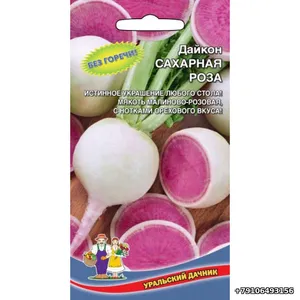Дайкон САХАРНАЯ РОЗА