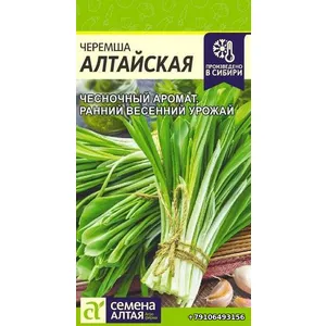 Черемша АЛТАЙСКАЯ