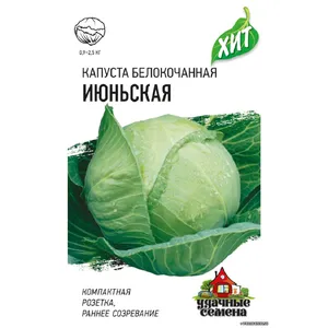 Капуста белокачанная Июньская