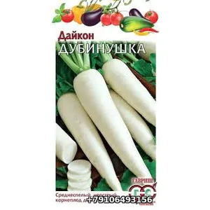 Дайкон ДУБИНУШКА