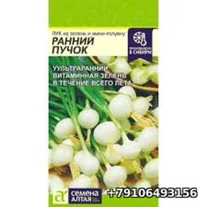 Лук на зелень и мини-головку РАННИЙ ПУЧОК