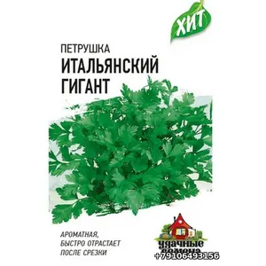 Петрушка листовая ИТАЛЬЯНСКИЙ ГИГАНТ