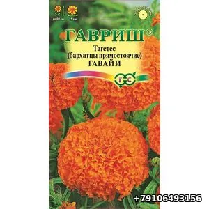 Бархатцы прямостоячие Тагетес ГАВАЙИ