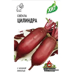Свекла ЦИЛИНДРА