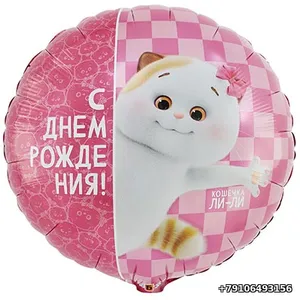Шар круг 18