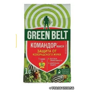 Командор Макси от колорад. 1г на 16л