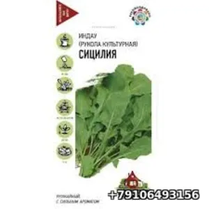Индау (Рукола культурная) СИЦИЛИЯ 1г Гавриш