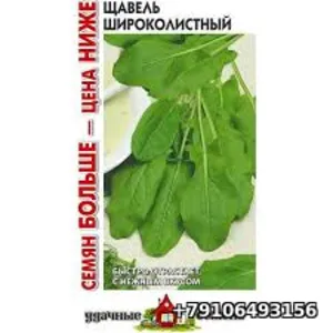 Щавель ШИРОКОЛИСТНЫЙ 1г Гавриш